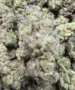 Lemon Cherry Delight "A Grade" Indoor Mixed Light by Emerald Kings