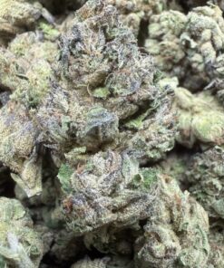 Super Sauce "A Grade" Indoor Mixed Light by Emerald Kings