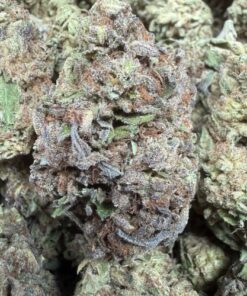 White Gummy "B+ Grade" Greenhouse Flower