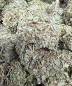 Taffi "B Grade" Greenhouse Flower