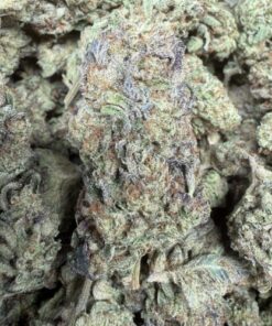 Gorilla Fuel "B+ Grade" Greenhouse Flower