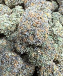 Banana Runtz "A Grade" Indoor Flower "Living Soil"