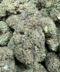 Grape Candy "B+ Grade" Greenhouse Flower