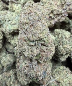 Blue Pave Runtz "B Grade" Greenhouse Flower