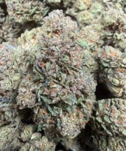 Purple Pants "B Grade" Greenhouse Flower