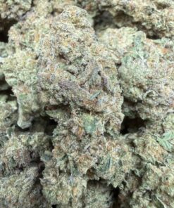 Novocain "B Grade" Greenhouse Flower