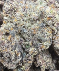 Red Hotz "A+ Grade" Indoor SMALLS by Preferred Gardens