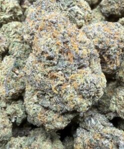 Animal Face "B+ Grade" Indoor Flower