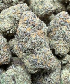 Peanut Butter Breath "B Grade" Indoor Flower