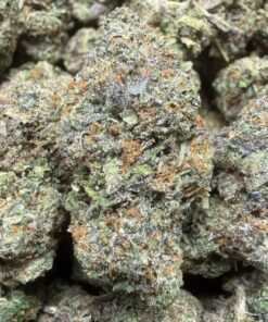 Gelato Butter "B+ Grade" Indoor Flower