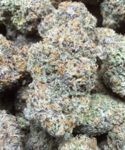 Golden Ticket "A Grade" Indoor Flower