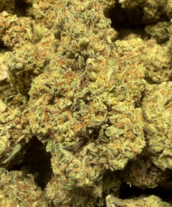 White Chocolope "A Grade" Greenhouse Flower By The Real Ridge Boys