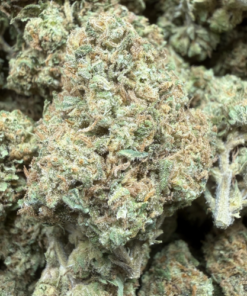 Glitter Bomb "A Grade" Greenhouse Flower By The Real Ridge Boys