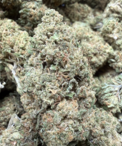 Wizard Candy "A Grade" Greenhouse Flower By The Real Ridge Boys