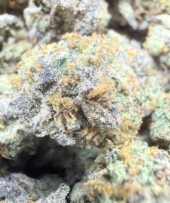 Guava Gelato "A Grade" Indoor Flower SMALLS