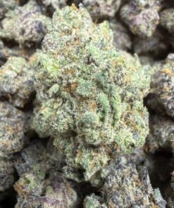 Woze "B+ Grade" Indoor Flower By Preferred Gardens "Limited Pheno Hunt"