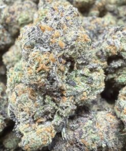 Lulu Lemons "A Grade" Indoor Flower by Preferred Gardens "Limited Pheno Hunt"