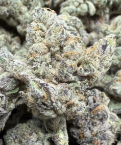 Red Taffy "B+ Grade" Indoor Flower by Preferred Gardens "Limited Pheno Hunt"