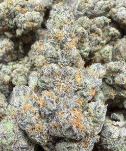 Sir Marks A Lot "A Grade" Indoor Flower by Preferred Gardens "Limited Pheno Hunt"