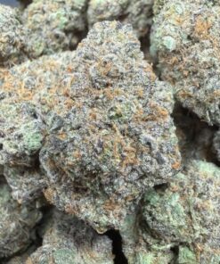 Umami "B Grade" Indoor Flower by Preferred Gardens "Limited Pheno Hunt"