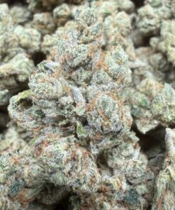 Jet Fuel Gelato "B+ Grade" Indoor Flower