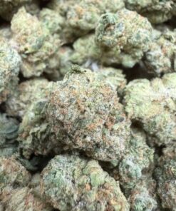 Papaya "B+ Grade" Indoor Flower SMALLS by Preferred Gardens "Limited Pheno Hunt"