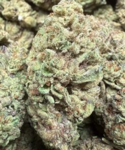 Tractor Fuel "B Grade" Greenhouse Flower