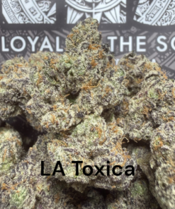 La Toxica "A Grade" Indoor Flower by Loyal 2 The Soil
