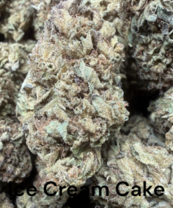 Ice Cream Cake "B Grade" Greenhouse Flower
