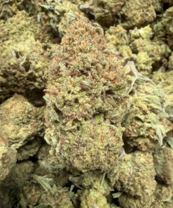 Wedding Pie "B+ Grade" Greenhouse Flower