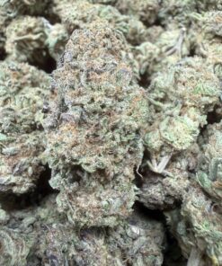 Pink Drink "A+ Grade" Greenhouse Flower