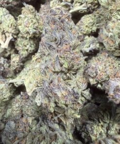 Kush Mints "A Grade" Greenhouse Flower