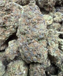 Space Runtz "A Grade" Greenhouse Flower