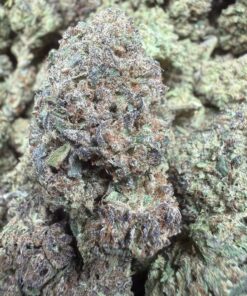 Monster Cookies "B+ Grade" Greenhouse Flower