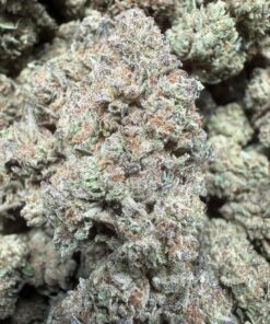 Slurty 30 "A Grade" Greenhouse Flower