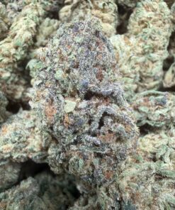 Jealousy Driver "A+ Grade" Greenhouse Flower