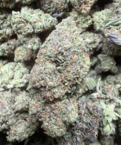 No Name OG "B+ Grade" Greenhouse Flower