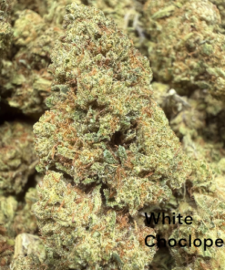 White Chocolope "B+ Grade" Greenhouse Flower by The Real Ridge Boys