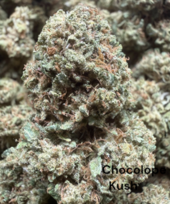 Chocolope Kush "B+ Grade" Greenhouse Flower by The Real Ridge Boys