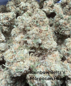 Rainbow Beltz x Moroccan Peaches AKA FEZ "A+ Grade" Greenhouse Flower by The Real Ridge Boys
