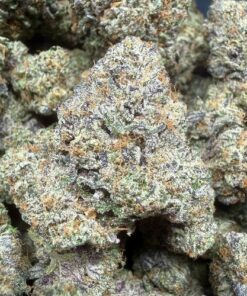 Garanimals "A+ Grade" Tea Grown Indoor Flower by Tumbado Gardens