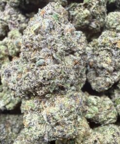 MOB -Mother Of Berries- "A+ Grade" Tea Grown Indoor Flower by Tumbado Gardens