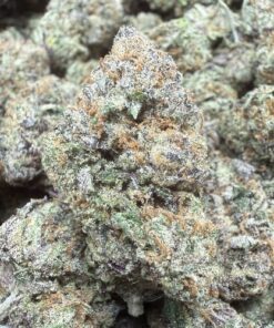 Frosted Runtz "A Grade" Tea Grown Indoor Flower by Tumbado Gardens