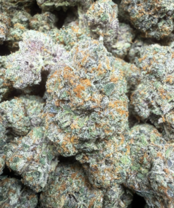 Frog Poison "A+ Grade" Tea Grown Indoor Flower by Tumbado Gardens