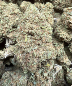 White Thai (B- Grade) Greenhouse Flower