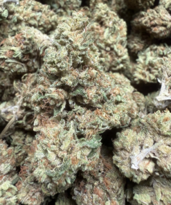 Cannalope Haze "B- Grade" greenhouse Flower