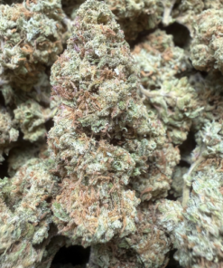 Pineapple Juice "B Grade" Greenhouse Flower