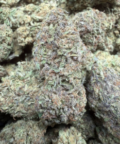 Runtz Face "B+ Grade" Greenhouse Flower