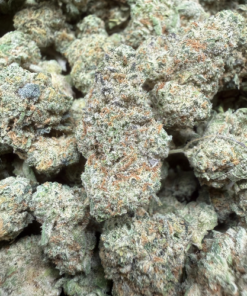 Peach Rings "A Grade" Indoor Flower Mediums/Smalls