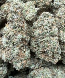 Grapefruit "B+ Grade" Mixed Light Indoor Flower by Preferred Gardens